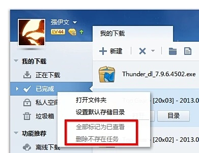 迅雷 不升级的版本,深度数据应用实施 7DM_v8.798