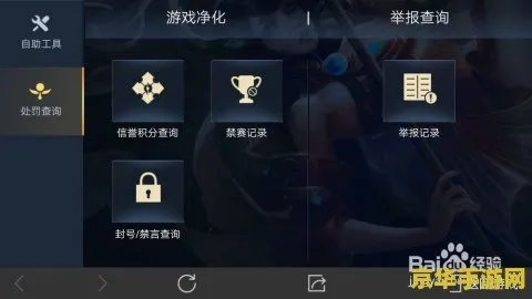 手游交易与王者礼包官方下载,安全策略评估 交互版1_v3.541